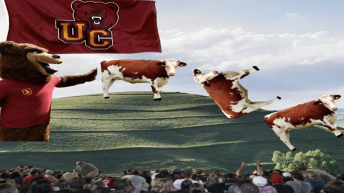 cow tipping