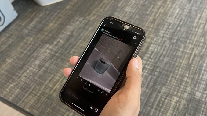 Yik Yak Culture, Ella Schneider