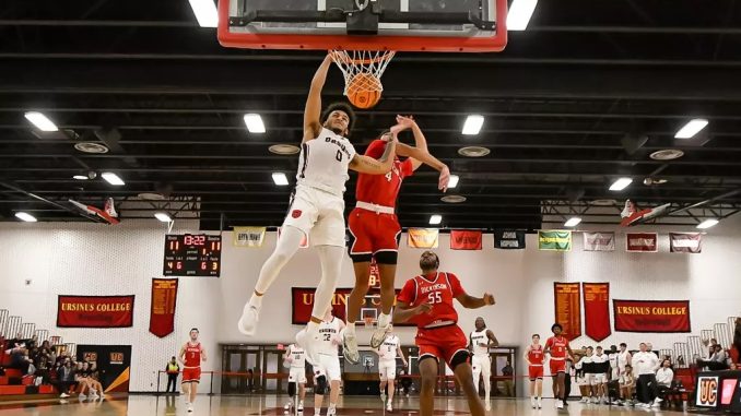mens bball, website