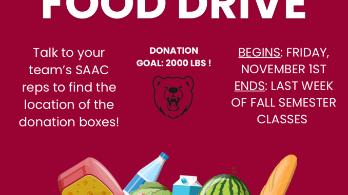 SAAC flyer